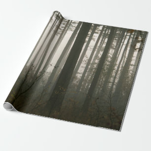 Papier Cadeau forêt et silhouettes des arbres dans la nature