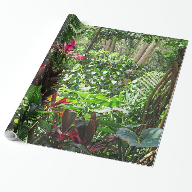 Papier Cadeau Forêt tropicale hawaïenne (Déroulé)