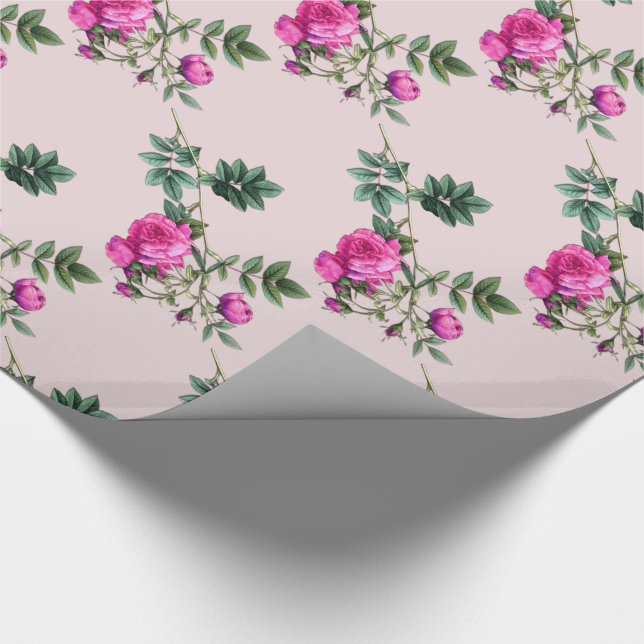 Papier Cadeau Forever Rosa Surique 10 pieds (Coin)