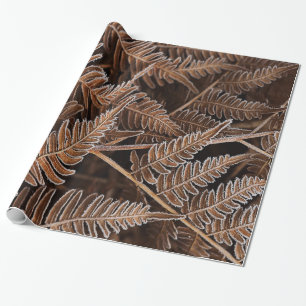 Papier Cadeau Fougères Brown gelées de fantaisie