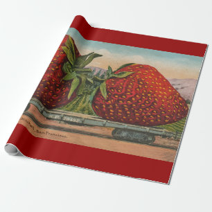 Papier Cadeau Fraises Géant Antique Fruit Amusement