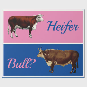 Papier Cadeau Fun Heifer ou Bull Genre Révéler avec le bétail