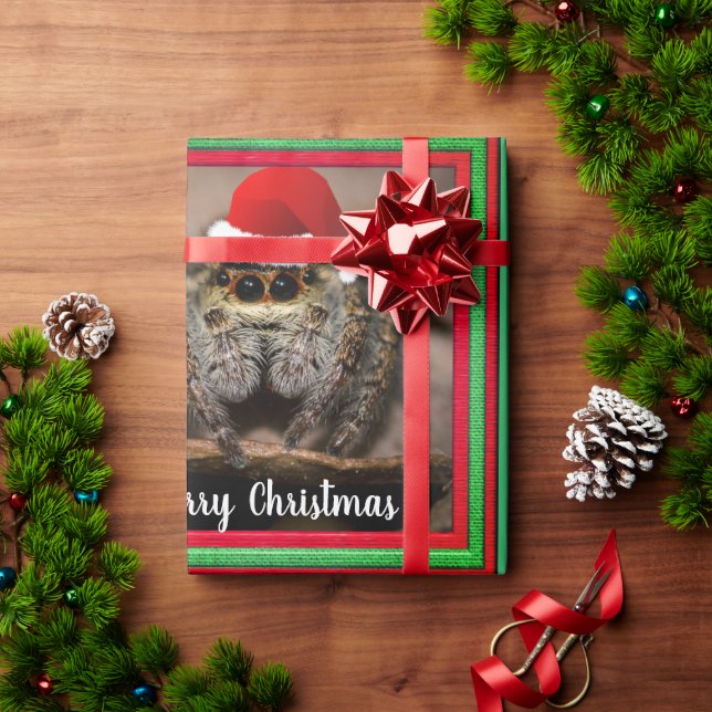 Papier Cadeau Fun Jumping Spider à Santa Hat Noël (Cadeau de vacances)
