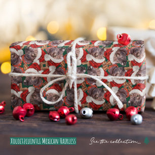 Papier Cadeau Funny Xoloitzcuintli Noël mexicain sans cheveux