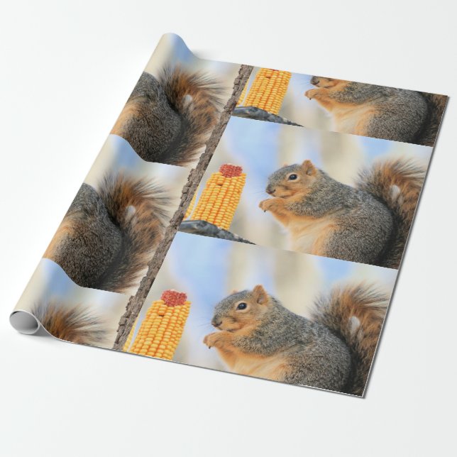 Papier Cadeau Furball d'aujourd'hui (Déroulé)