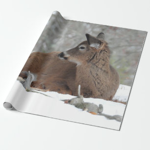 Papier Cadeau Fuzzy White Quail Cerf Fawn