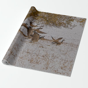 PAPIER CADEAU GEESE DU CANADA