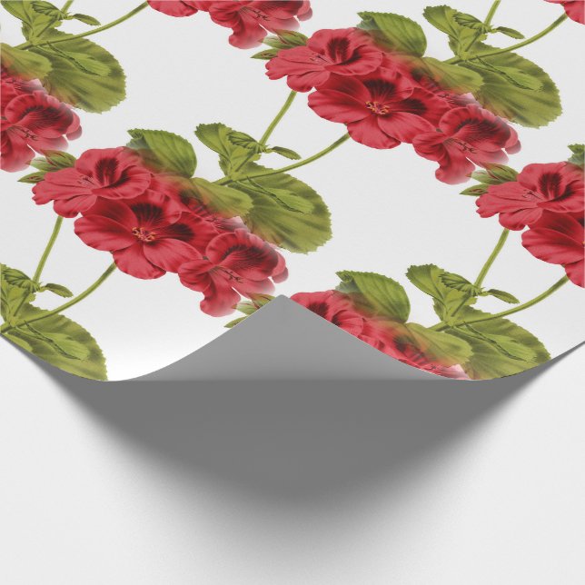 Papier Cadeau Geraniums rouges vintages (Coin)