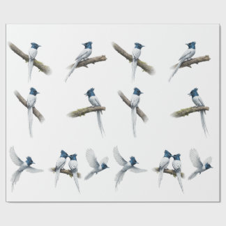 Papier Cadeau Gobe-mouche Paradis Asiatique Ensemble d'Oiseaux à