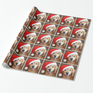 Papier Cadeau Golden retriever avec Noël de casquette de Père