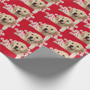 Papier Cadeau Golden Retriever en marguerite rouge