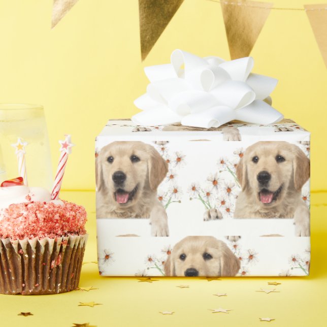 Papier Cadeau Golden Retriever Et Daisies (Fête d'anniversaire)