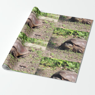 Papier Cadeau Grand gars