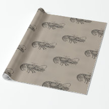 Grand homard de Sandy