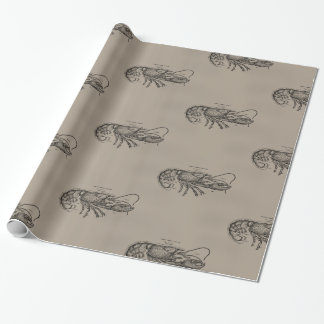 Papier Cadeau Grand homard de Sandy