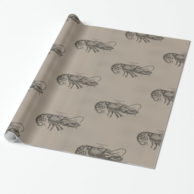 Papier Cadeau Grand homard de Sandy (Déroulé)