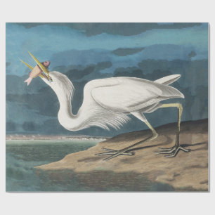 Papier Cadeau Grande Aigrette d'Audubon : Oiseau côtier vintage