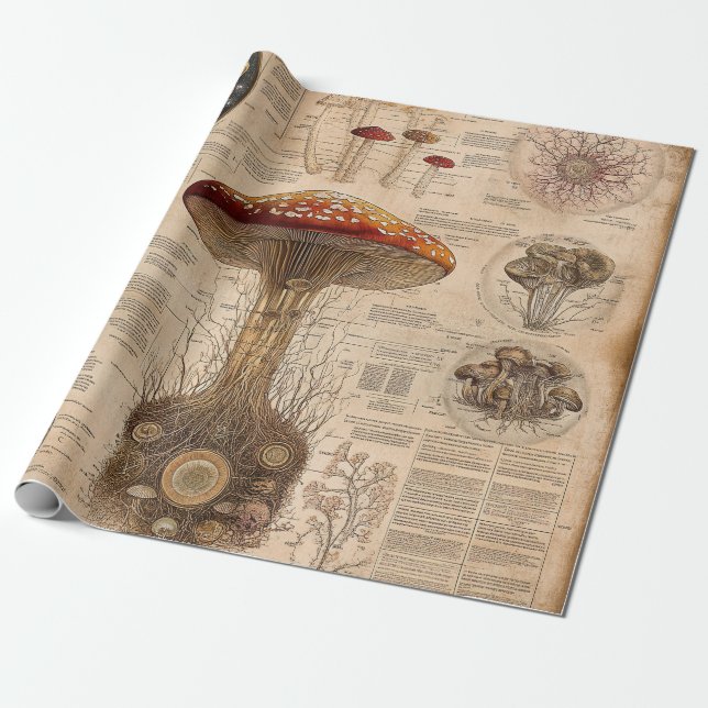 Papier Cadeau Graphique botanique de champignons vintage (2) (Déroulé)