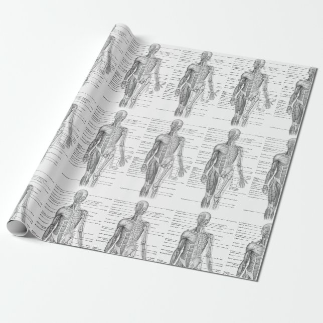 Papier Cadeau Graphique Médicale de l'anatomie humaine (Déroulé)