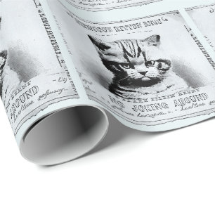 Papier Cadeau Grave chaton, vieux journal personnalisé