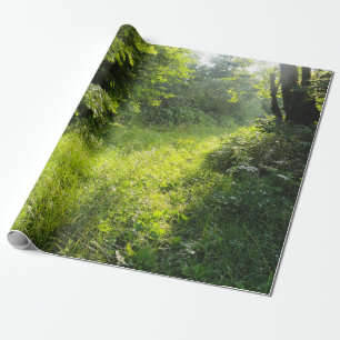 Papier Cadeau Green Forest Meadow