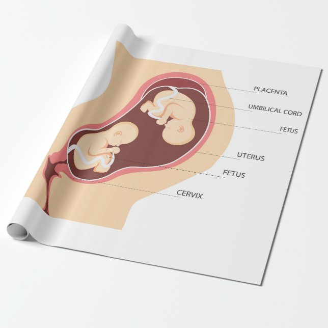 Papier Cadeau Grossesse jumelle dizygotique (Déroulé)