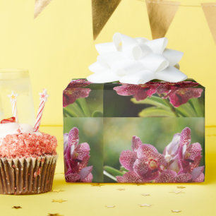 Papier Cadeau Groupe tropical d'orchidées de Vanda