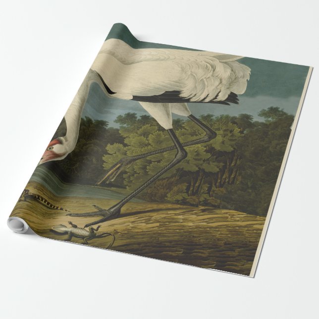 Papier Cadeau Grue blanche Audubon Peinture d'oiseaux (Déroulé)