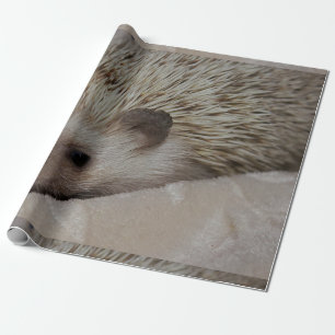 Papier Cadeau Hérisson de sourire