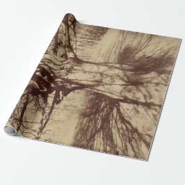 Papier Cadeau Hêtre (par Eugène Atget)