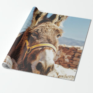 PAPIER CADEAU HI DONKEY