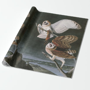 Papier Cadeau Hiboux de grange, les oiseaux de l'Amérique John
