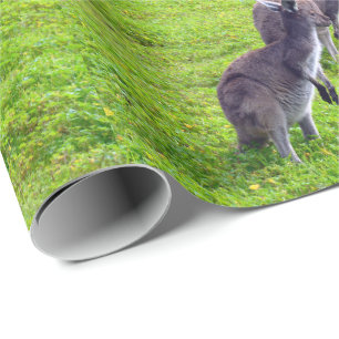 Papier Cadeau Horizons sans limites : Kangaroos gris sur la plai
