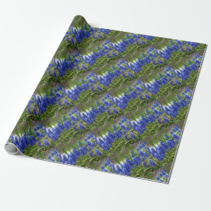 Papier Cadeau Hyacinthe de raisin