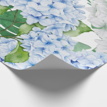 Hydrangée bleue et blanche