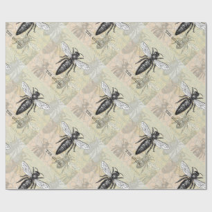 Papier Cadeau Illustration Antique d'Insecte de Bourdon Reine Ab
