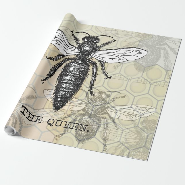 Papier Cadeau Illustration d'antiquité de l'insecte de la reine  (Déroulé)