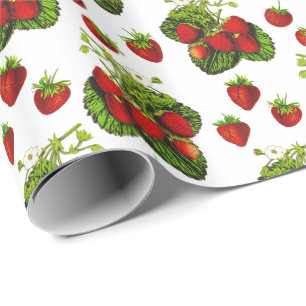Papier Cadeau Illustration de fraise botanique Imprimer sur blan
