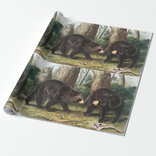 Papier Cadeau Illustration de l'ours noir américain Ursus Americ