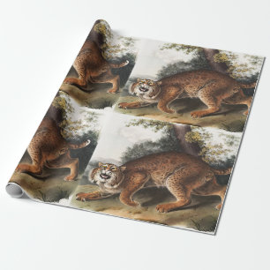 Papier Cadeau Illustration du chat sauvage américain (Lynx rufus