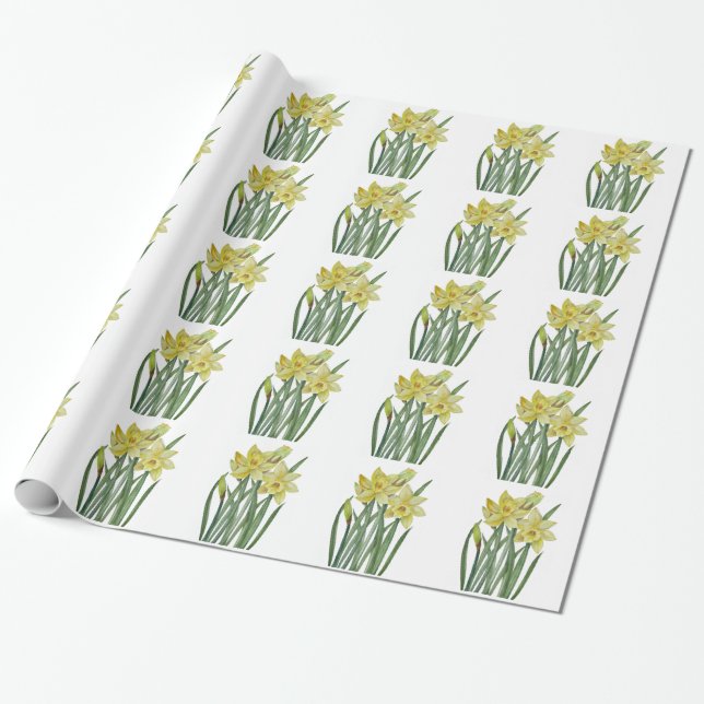 Papier Cadeau Illustration du portrait des jonquilles d'aquarell (Déroulé)