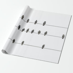 Papier Cadeau Illustration tirée à la main d'oiseaux simples sur