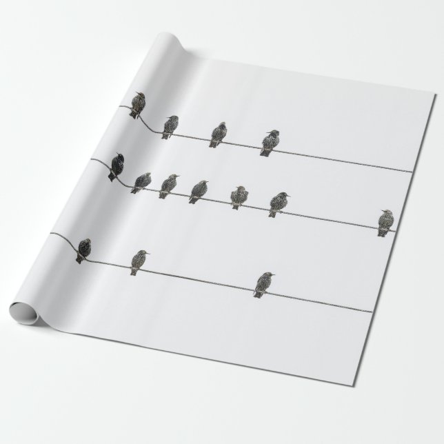 Papier Cadeau Illustration tirée à la main d'oiseaux simples sur (Déroulé)