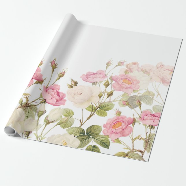 Papier Cadeau Illustration vintage de pré de roses de sépia rose (Déroulé)