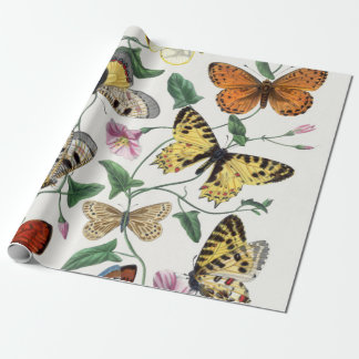 Papier Cadeau Illustration Vintage du Papier à papier emballer