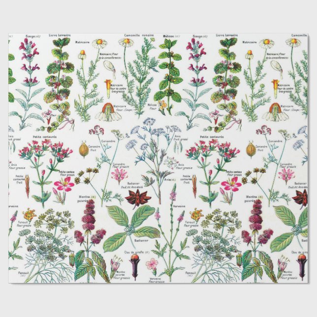 Papier Cadeau Illustrations botaniques Papier d'enveloppement (Plat)