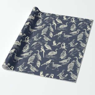 Papier Cadeau Illustrations d'oiseaux anciens gravures Marine