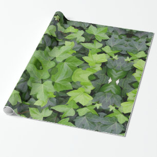 Papier Cadeau Impression botanique verte Ivy