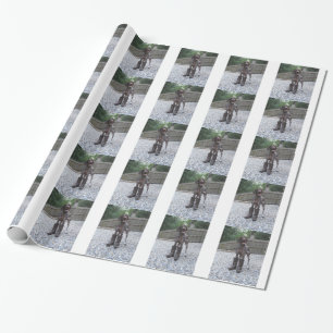 Papier Cadeau Indicateur aux cheveux courts allemand dans les
