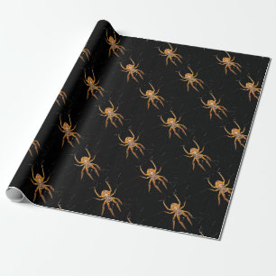 Papier Cadeau insecte macro araignée colombie